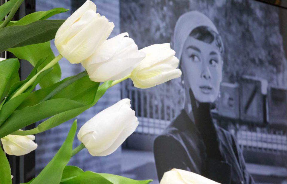 Audrey Hepburn Den Haag